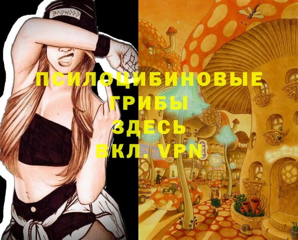 первитин Покров