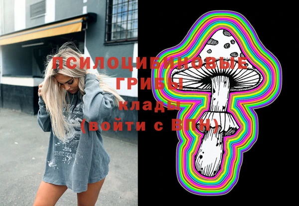 тгк Пролетарск