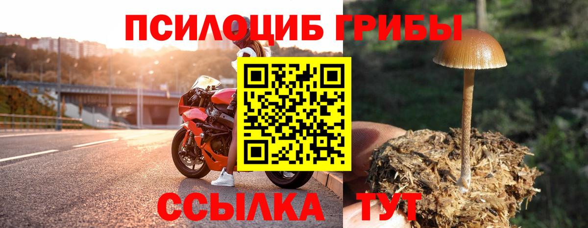 Галлюциногенные грибы прущие грибы  Вход с VPN  Туймазы 
